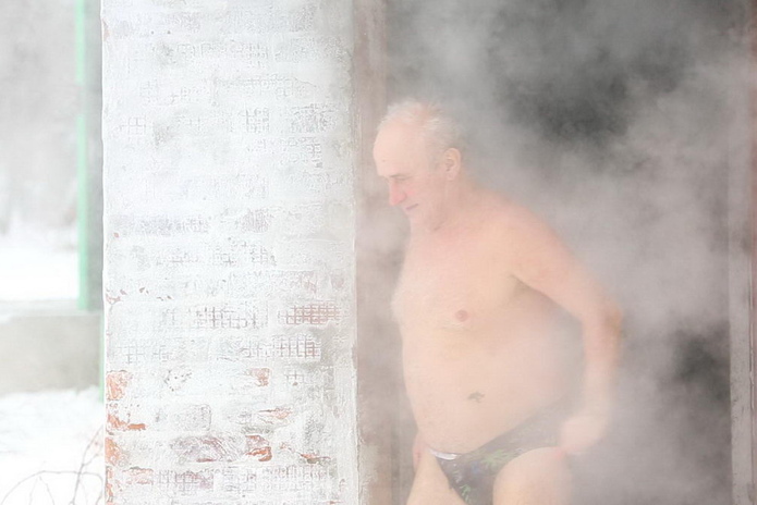 Моржи и моржихи